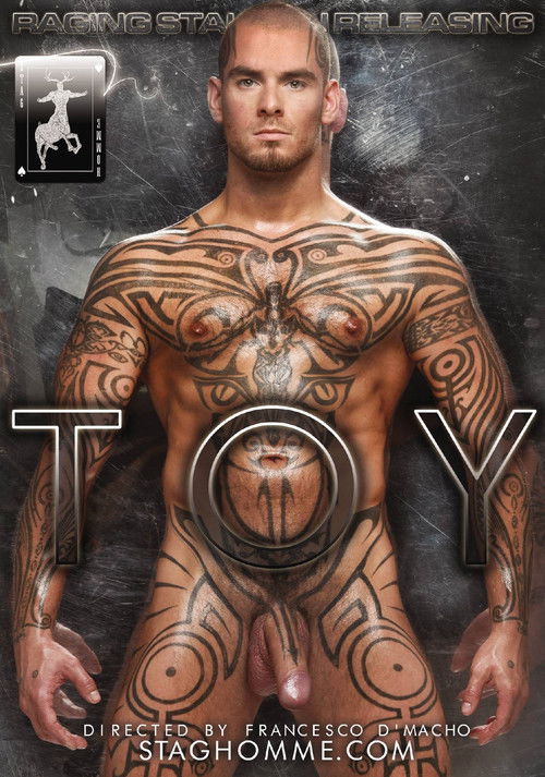 Toy (2011) poster