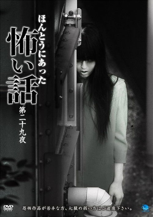 Scary True Stories: Night 29 (2014) poster