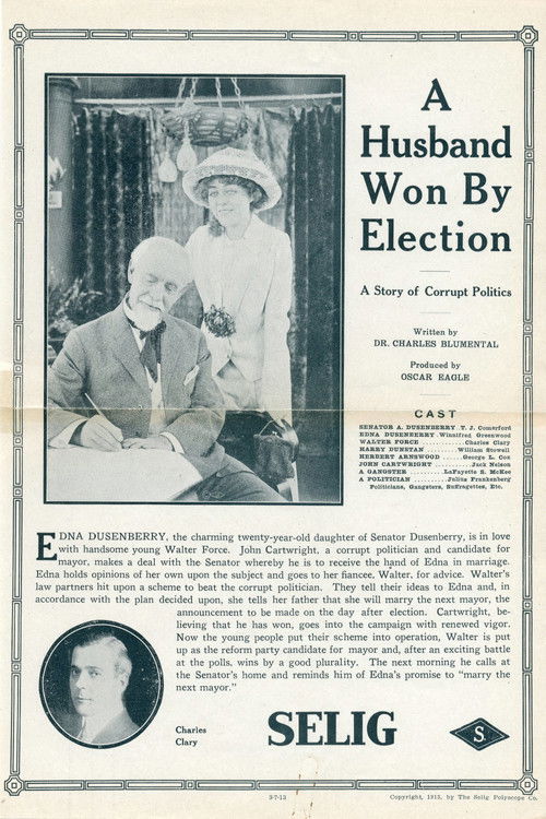 A Husband Won by Election (1913) poster