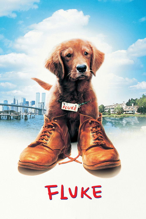 Fluke (1995) poster