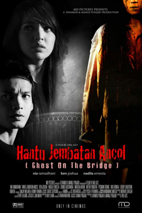 Ghost on the Bridge (2008) poster
