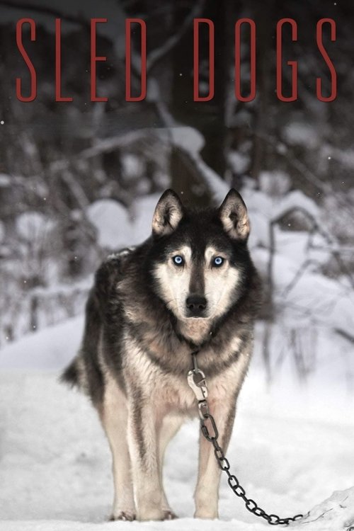 Sled Dogs (2017) poster