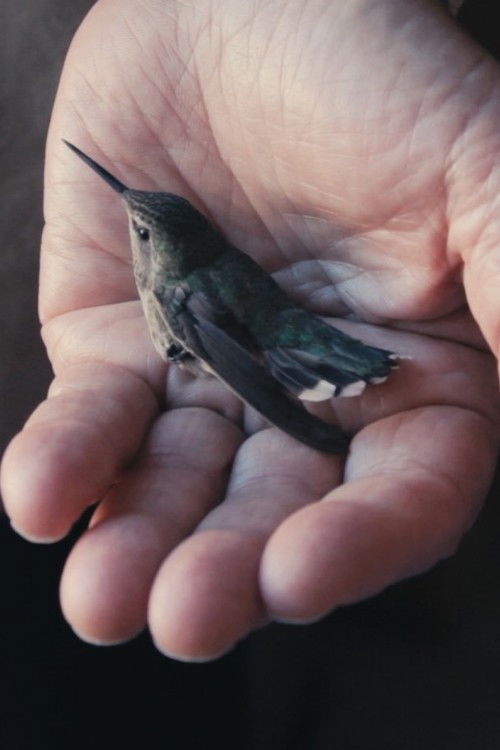 My Home (2022) poster