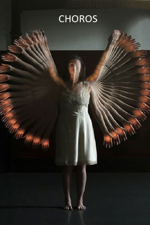 Choros (2010) poster