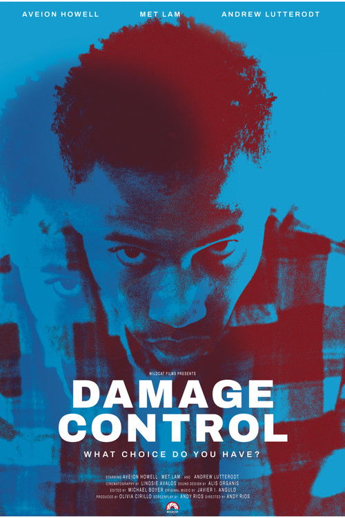Damage Control (2024) poster