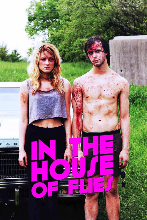 In The House of Flies (2014) poster