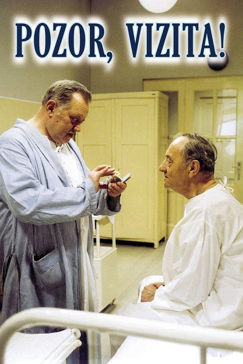 Pozor, vizita! (1982) poster