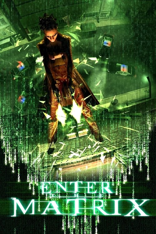 Making 'Enter the Matrix' (2003) poster