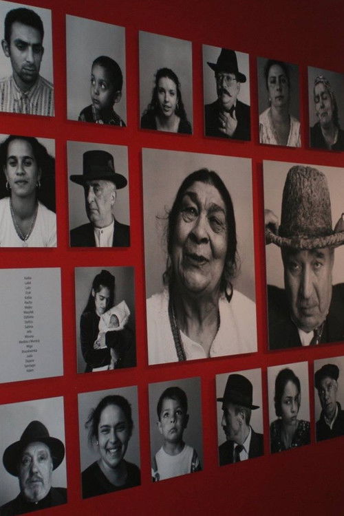 The Last Romani in Auschwitz (1994) poster