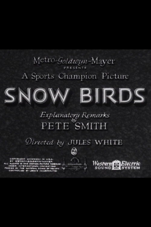 Snow Birds (1932) poster