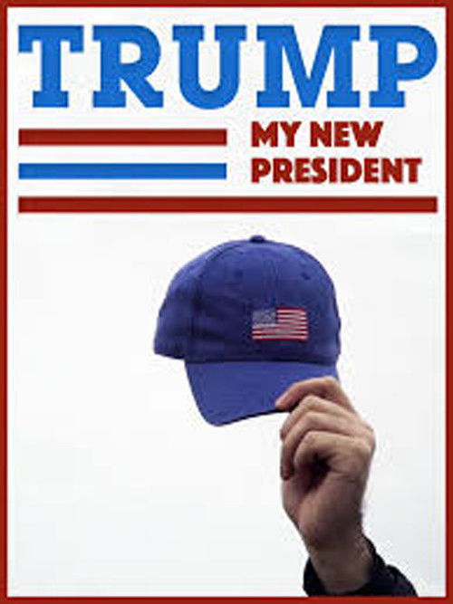Trump: My New President (2017) poster