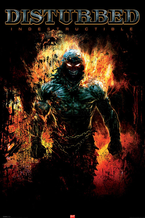Disturbed: The Making Of Indestructible (2008) poster