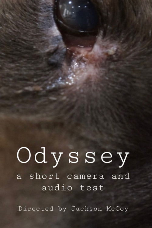 Odyssey - a camera and audio test (2025) poster