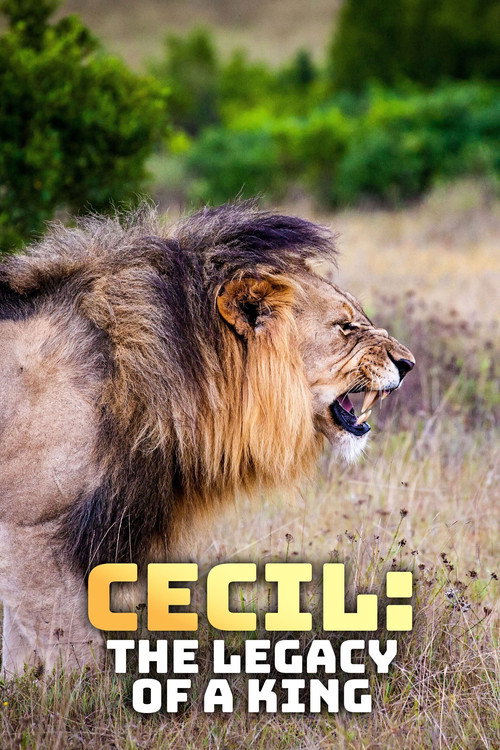 Cecil: Bir Kralın Mirası (2020) poster