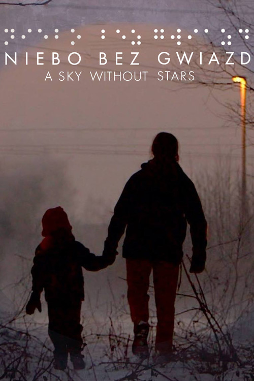 A Sky Without Stars (2018) poster