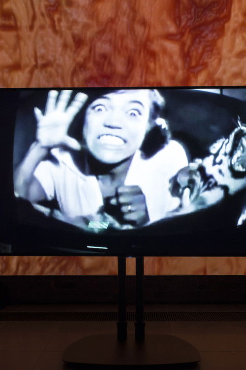 TK (Suspicious Glorious Absence) poster