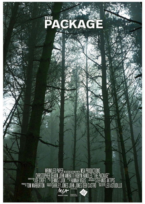 The Package (2018) poster