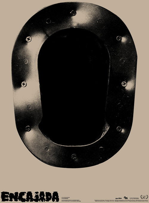 Embedded (2022) poster