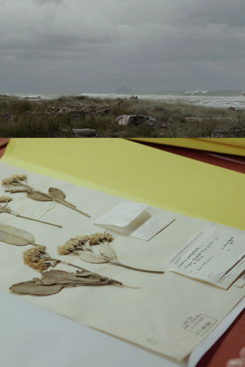 E Kore Au E Ngaro | The Connection Remains poster