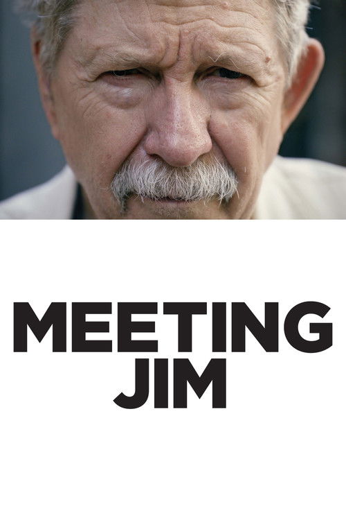 Meeting Jim (2018) poster