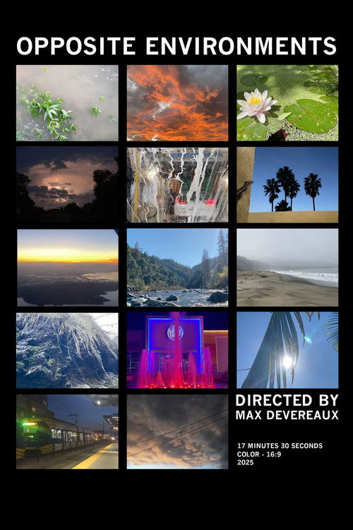 Opposite Environments (2025) poster