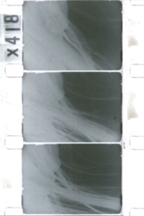 (sans)(image) (2023) poster