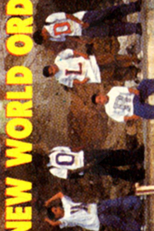 World Industries - New World Order (1993) poster