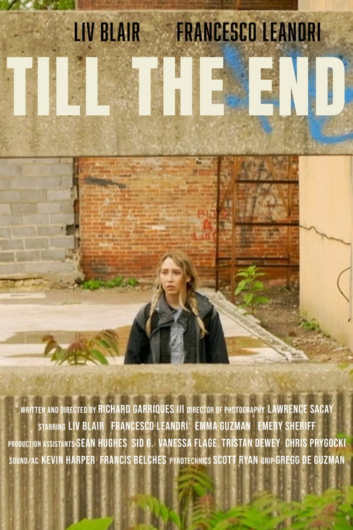 Till the End (2024) poster