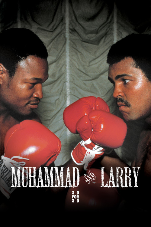 Muhammad and Larry (2009) poster