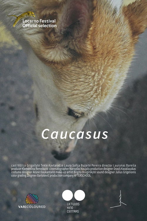 Caucasus (2019) poster