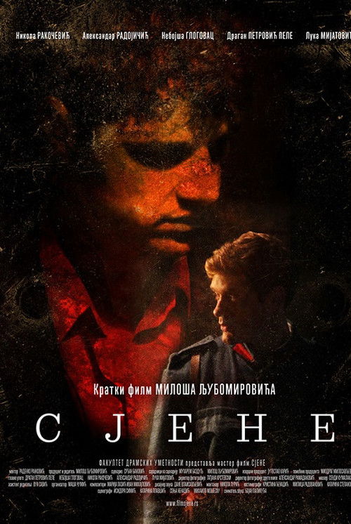 Shadows - The Last Days of Gavrilo Princip (2014) poster