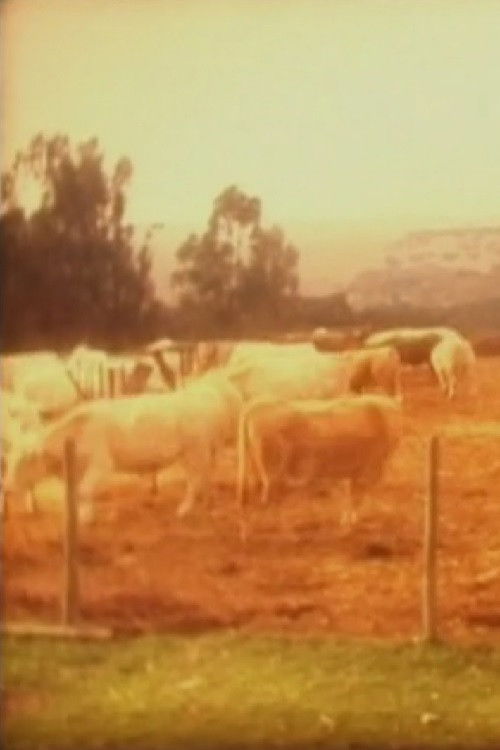 Cows (2001) poster