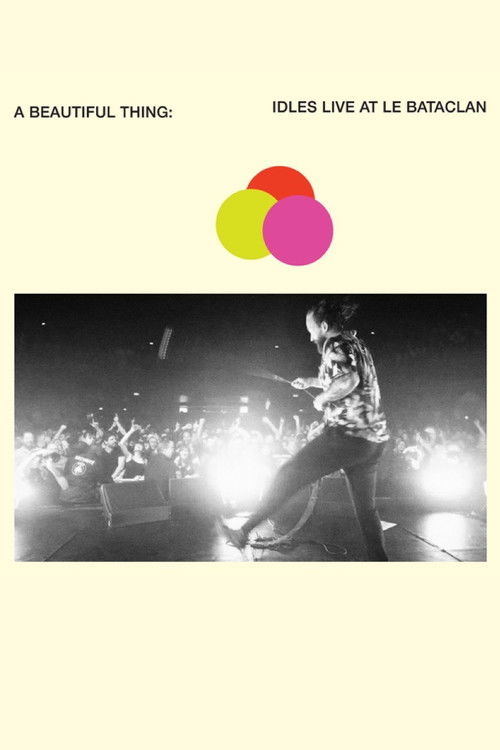 A Beautiful Thing: IDLES Live at le Bataclan (2020) poster