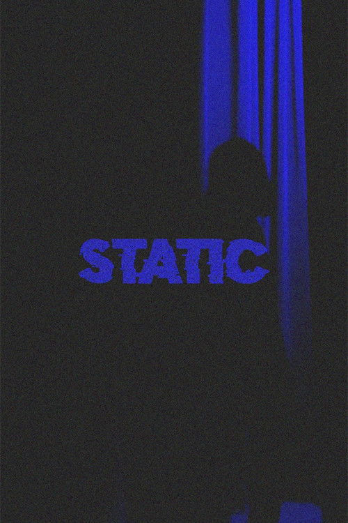 Static (2024) poster