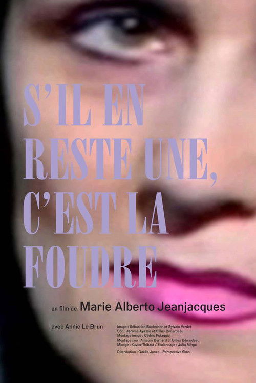 S'il en reste une, c'est la foudre (2016) poster
