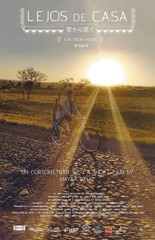 Far From Home (2017) poster