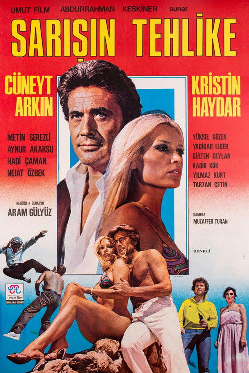 Sarışın Tehlike (1980) poster