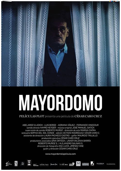 Mayordomo (2017) poster