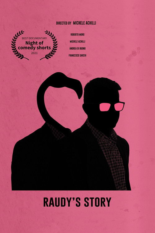 Raudy's Story (2017) poster
