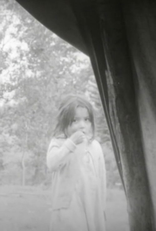 The Trout Lake Cree (1968) poster