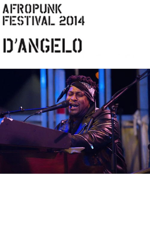 D'Angelo: Afropunk Festival (2014) poster