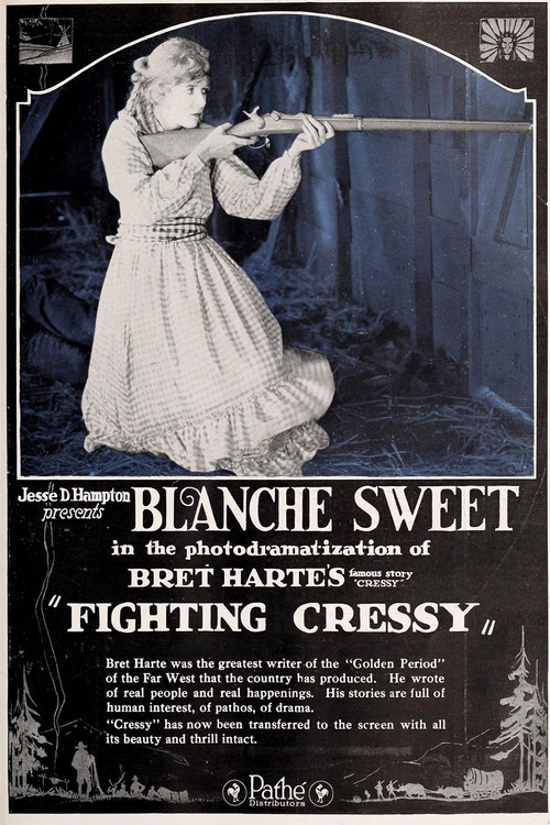 Fighting Cressy (1919) poster
