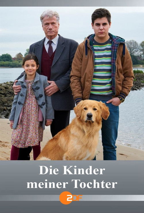 Die Kinder meiner Tochter (2013) poster