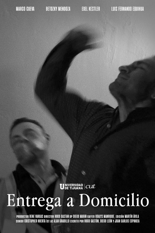 Entrega a Domicilio (2024) poster