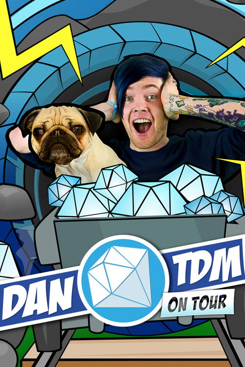 Dan TDM On Tour (2017) poster