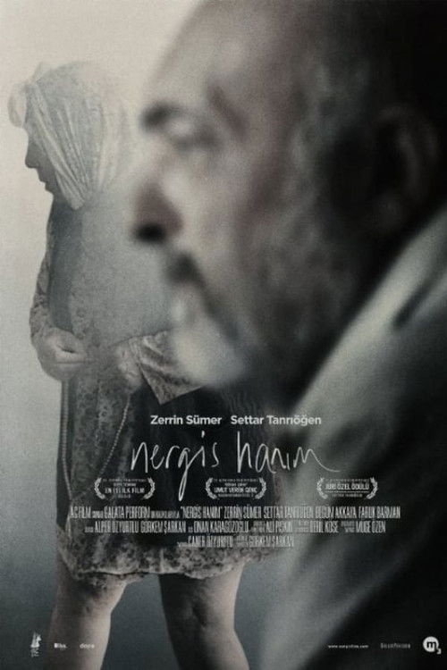 Mrs Nergis (2014) poster