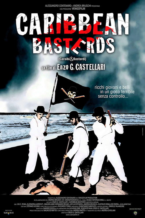 Caribbean Basterds (2010) poster