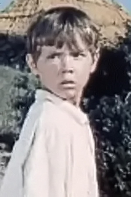 Владимир Василенко