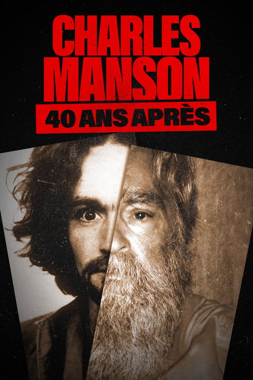 Manson (2009) poster