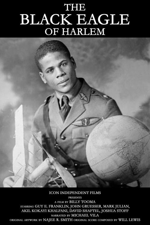 The Black Eagle of Harlem (2017) poster